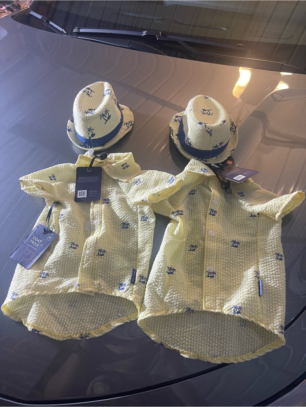 Dog’s Yellow Seersucker Shirt & Matching Hat Set - Twin Pack